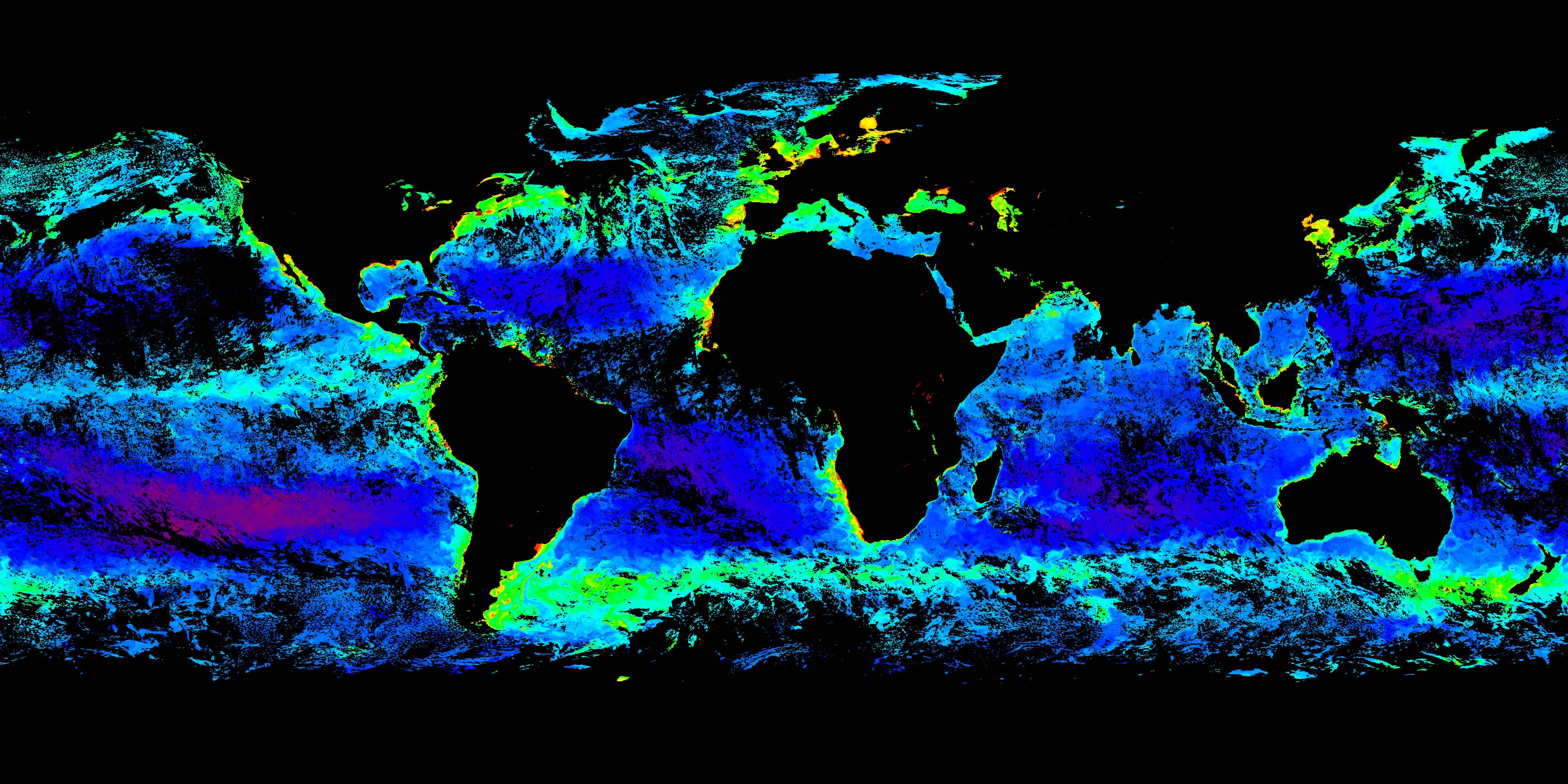 What Is Phytoplankton And Why Is It Important