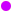 purple.gif
